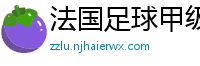 法国足球甲级联赛